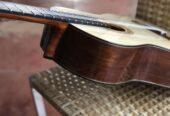 JORGE NACEV – LUTHIER